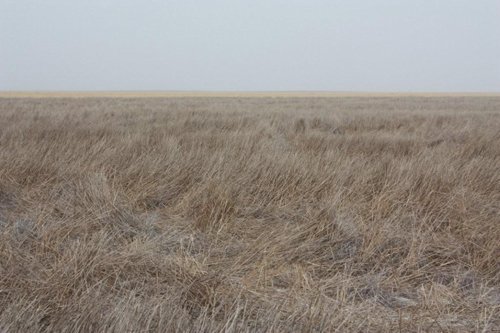 Property photo 34 - Kansas Land Auction - 960 Acres - 7 Farms in 3 Counties